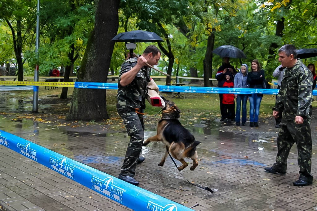 выставка собак в Бердянске на день города