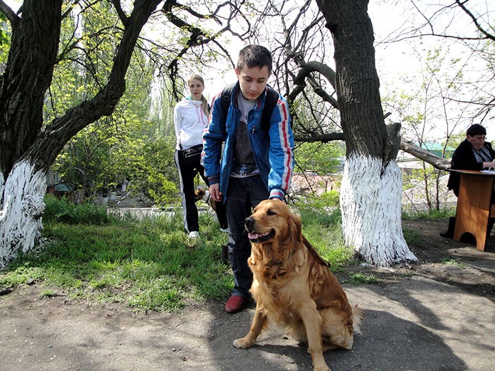 Выставка собак в Бердянске 4 мая 2014 года