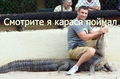 Фотожабы