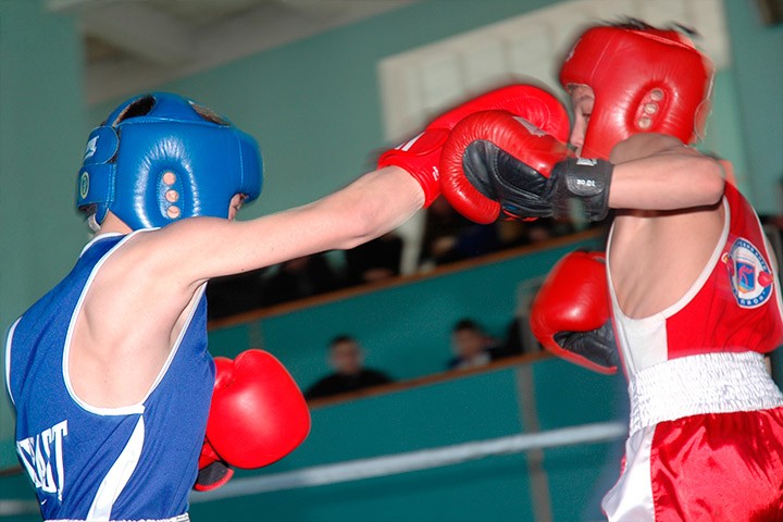 Соревнования по боксу 2014 в Бердянске
