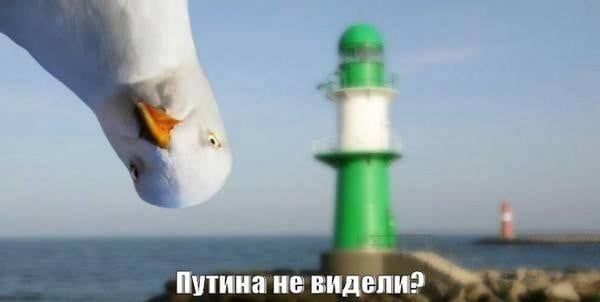 путин