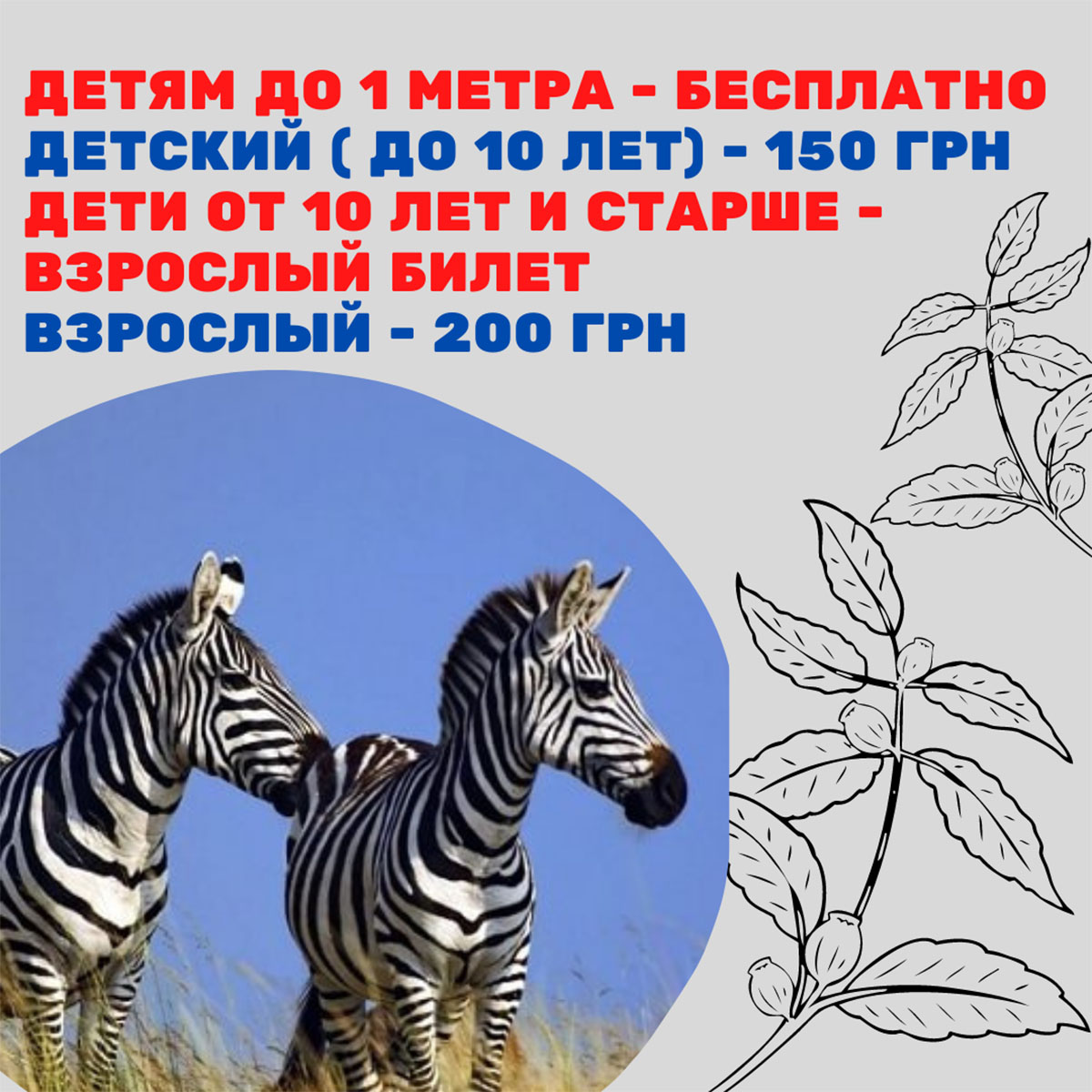 цена билетов в зоопарк сафари бердянск