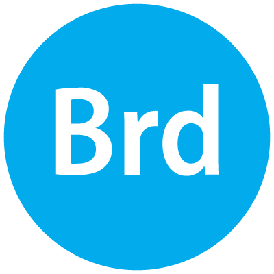 логотип брд24