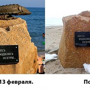 В Бердянске украли памятник осетру