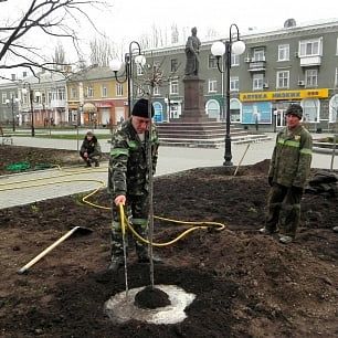 Озеленять Бердянск будут специалисты из Днепропетровска