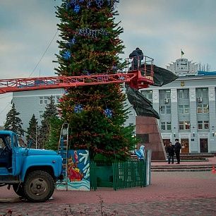 В Бердянске могут возникнуть проблемы с новогодними елками