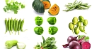 Введение в мир овощного садоводства: семена овощей