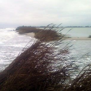 Ежегодно в селе Новопетровка Бердянского района под воду уходит от 2 до 5 метров суши.