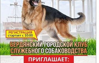 Выставка собак кубок мэра "Азов 2020"