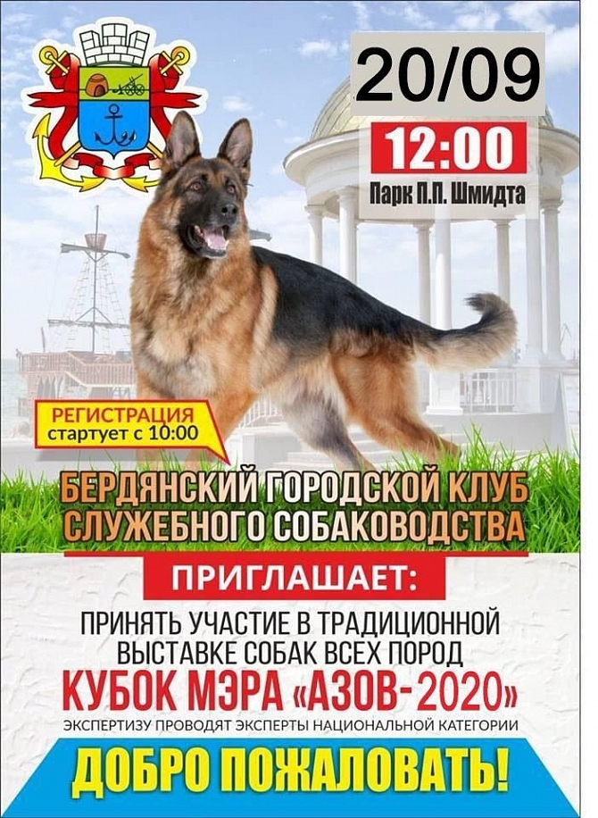 Выставка собак кубок мэра "Азов 2020"