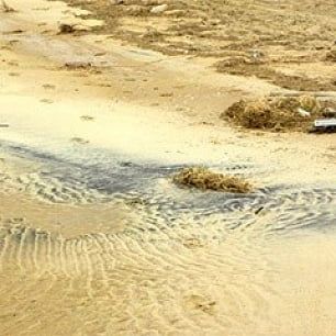 На пляжах Азовского моря появились радиоактивные пески