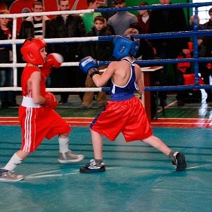 Бердянские боксеры успешно выступили в Всеукраинском турнире