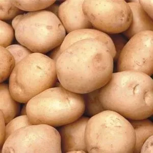 В Бердянске у нелегального предпринимателя конфисковали более тонны картофеля