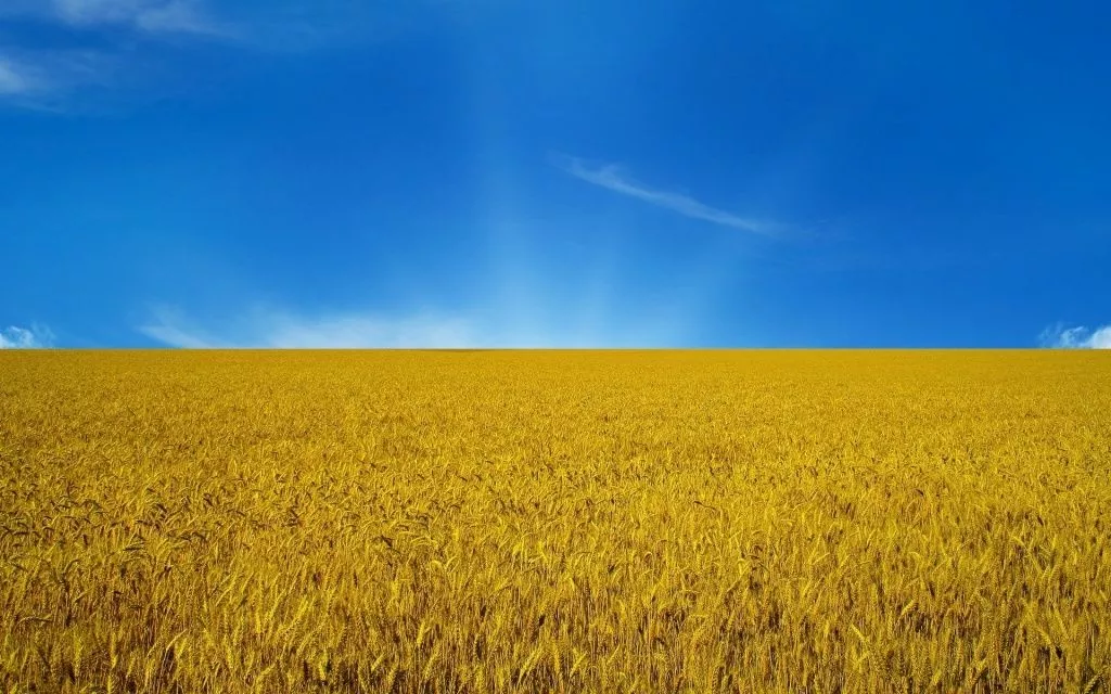 Синьо-жовтий прапор - оберіг Української Нації (ВІДЕО)