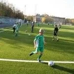 Бердянск может получить два футбольных газона