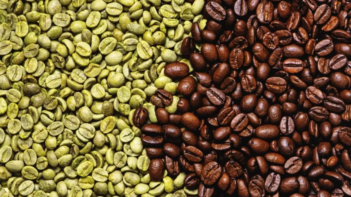 Зеленый кофе: мифы и реальность