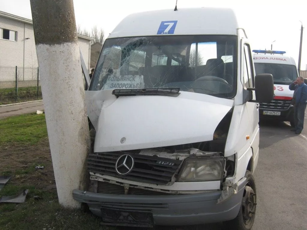 Рейсовый микроавтобус "Вольнянск-Запорожье" врезался в электроопору: 11 пострадавших (фото)