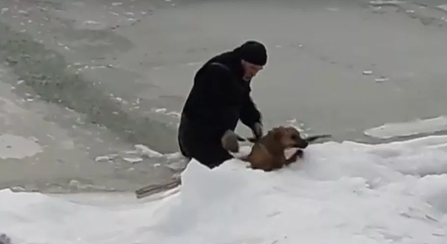 У Бердянську шукають рибалку який врятував собаку 