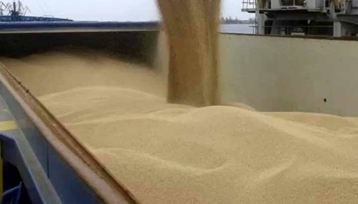 росія вивозить із України награбоване зерно через порт Бердянська