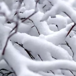 Бердянцев просят быть терпимее: убрать снег по взмаху волшебной палочки невозможно