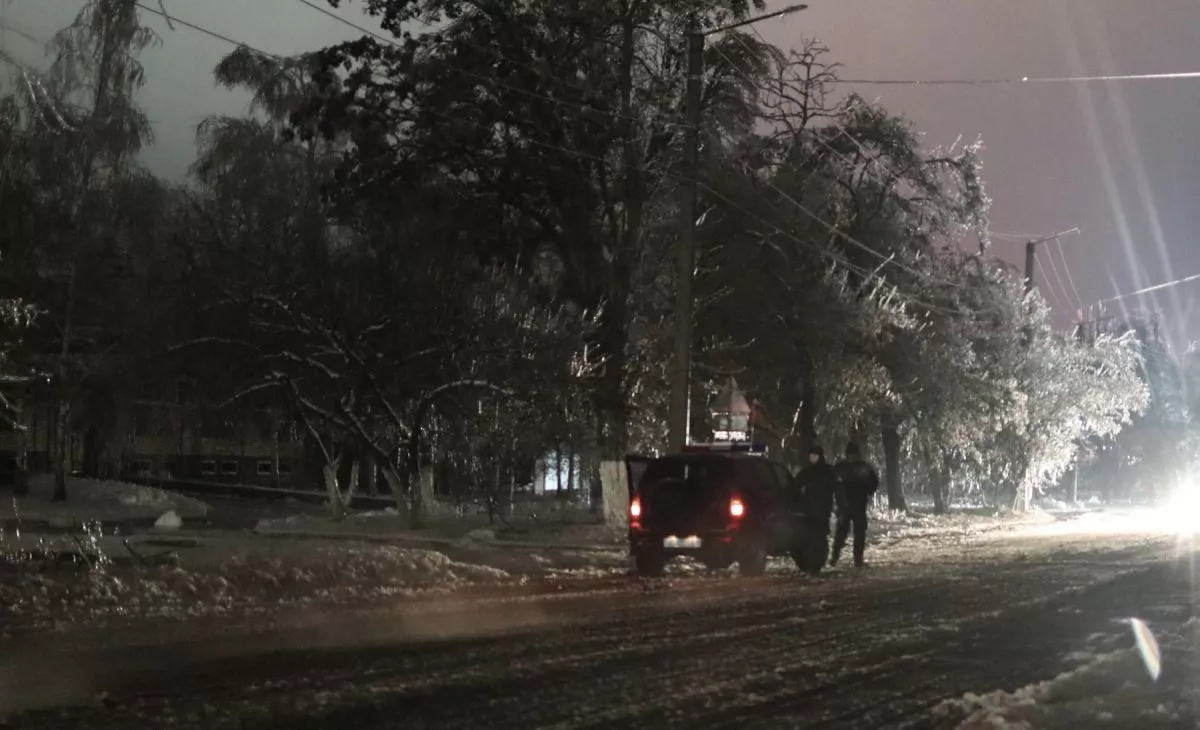За ніч з 28 на 29 грудня в Бердянську впало 10 дерев