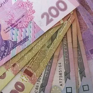 Бедянские налоговики вернули в бюджет 3,3 тыс. грн