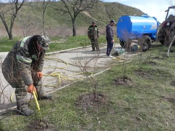 Бердянский «Зеленхоз» бесплатно раздаст бердянцам 3 тысячи саженцев деревьев и кустарников