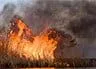 В Бердянске неизвестный устроил пожар на территории гостиницы