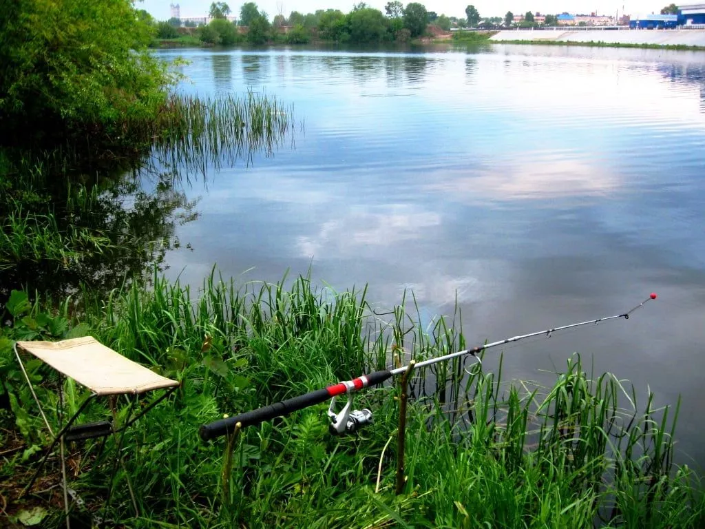 Рыбалку в Украине хотят сделать платной