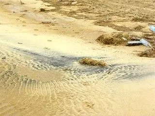 На пляжах Азовского моря появились радиоактивные пески