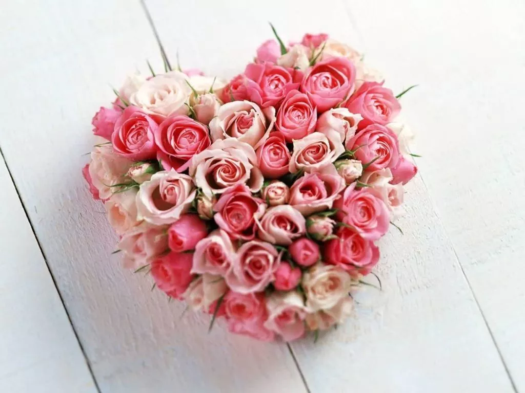 Какие цветы дарить на День влюбленных