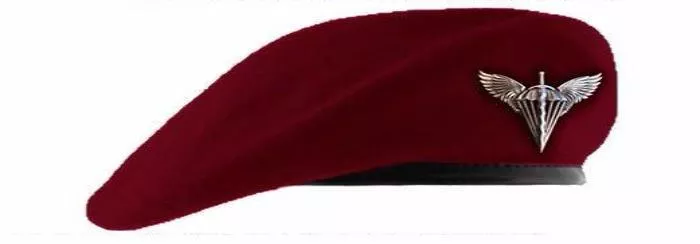 Десантно-штурмовые войска наденут береты цвета марун (ВИДЕО)