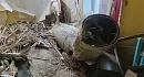 Нічний удар Росії по Одесі. ЗСУ показали руйнування від атаки окупантів — фото