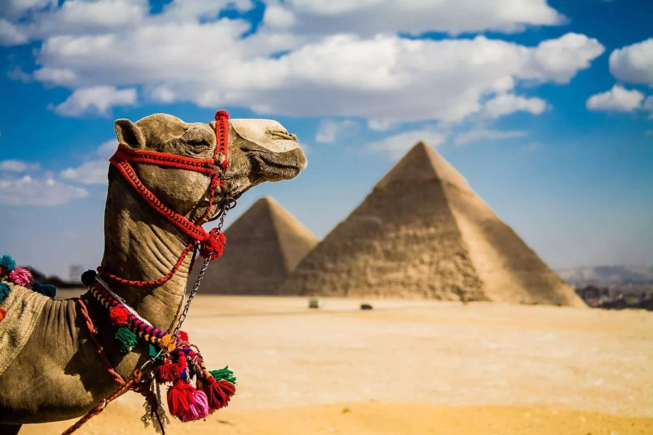 Египет – романтика для двоих!