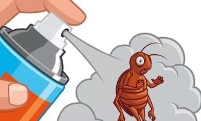 Самый эффективный способ борьбы с тараканами – дератизация