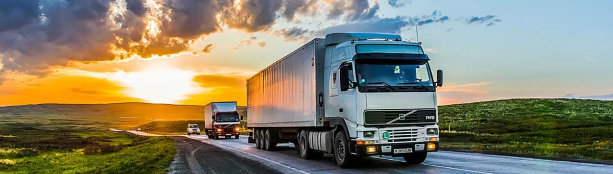 Міжнародні грузові перевезення: види транспорту