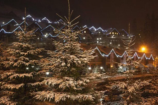 На Западной Украине выпал первый снег