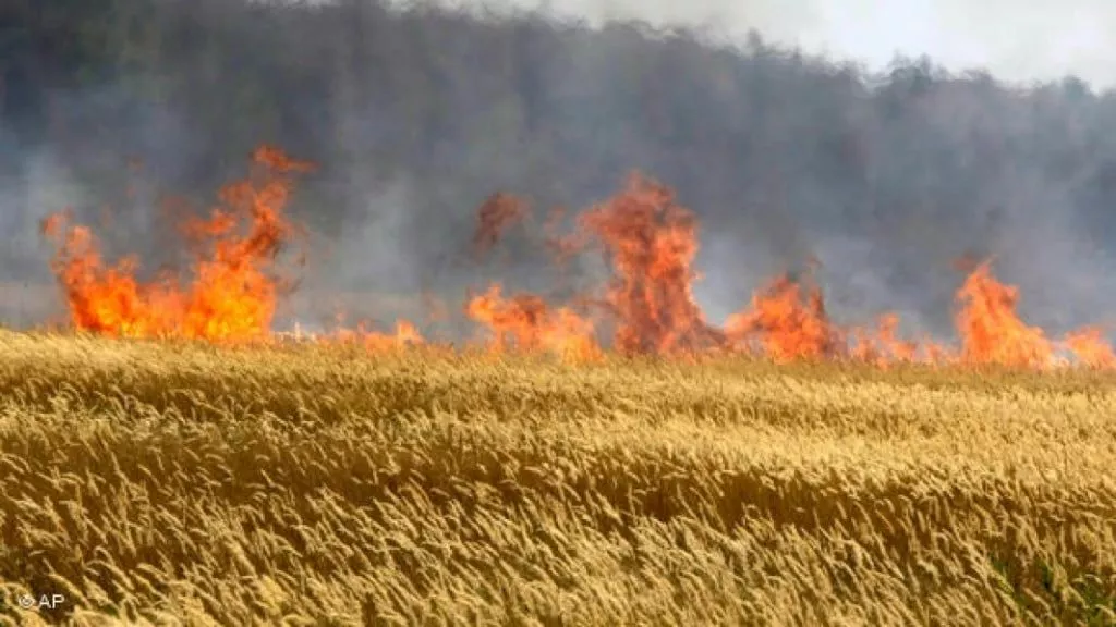 На юге, востоке и в центре Украины сохраняется пожарная опасность