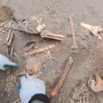 Рештки вбитих у часи Другої світової війни Рештки вбитих у часи Другої світової війни