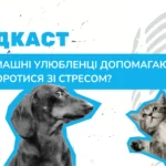 Подкаст - Тваринотерапія. Як домашні улюбленці лікують нас без слів