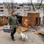 Людина з тваринами серед руйнувань