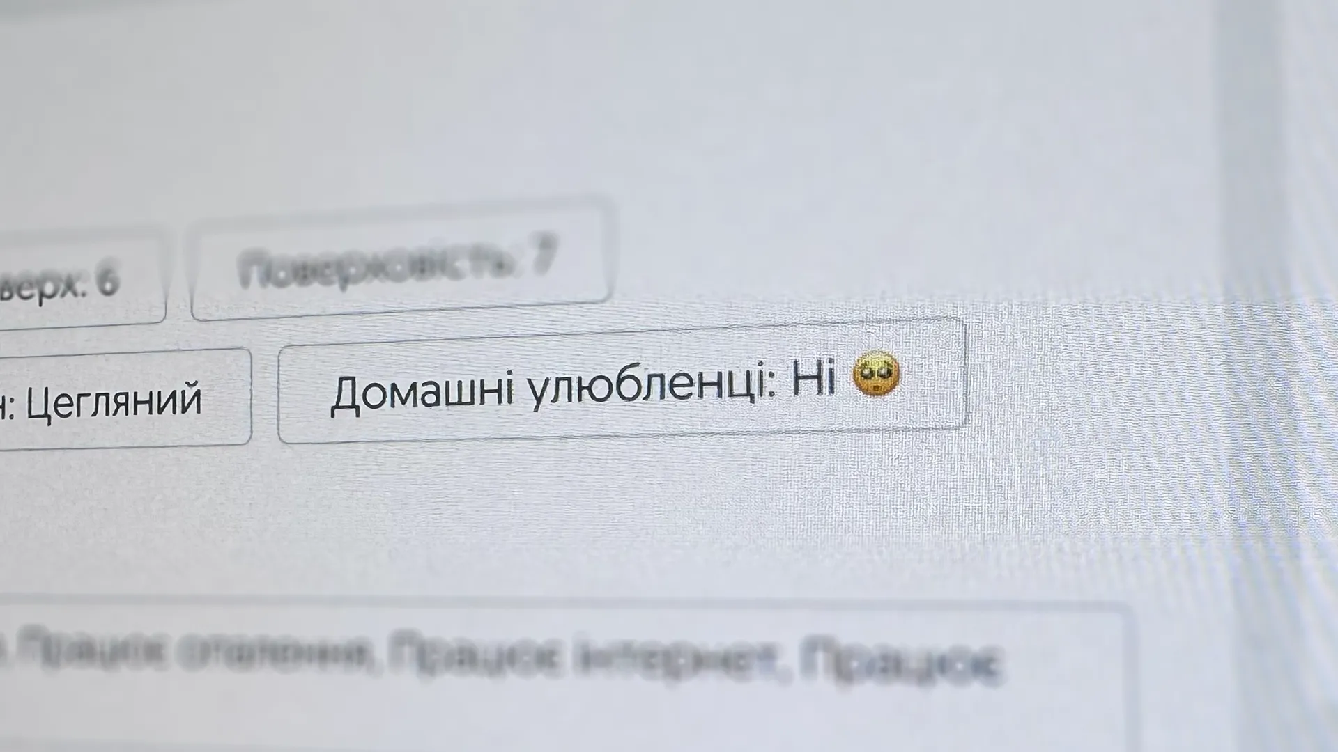 Оренда без домашнії улюбленців Оренда без домашнії улюбленців