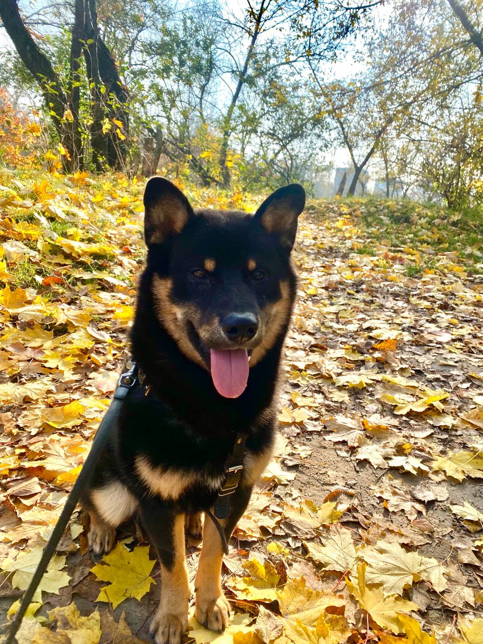 photo_2025-10-29_11-23-12