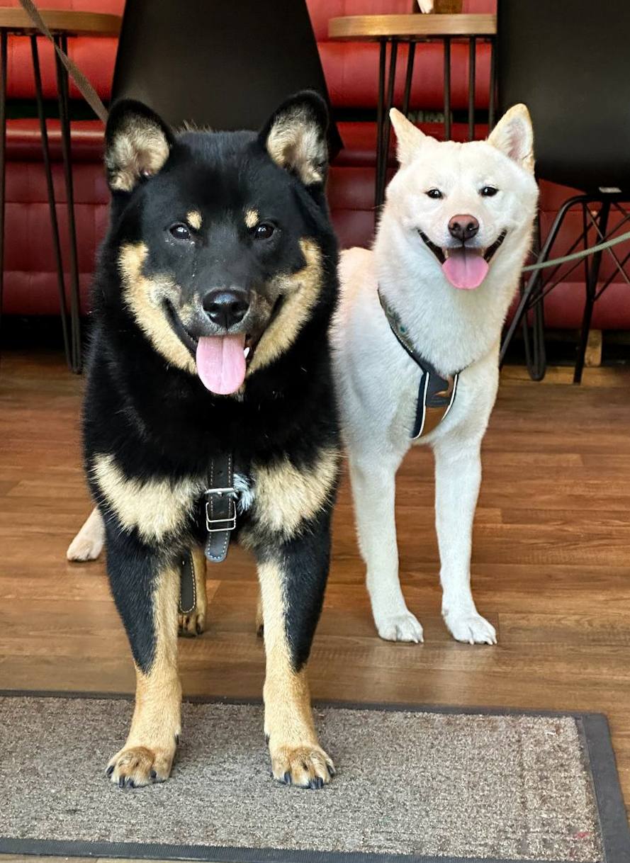 photo_2025-10-29_11-23-16