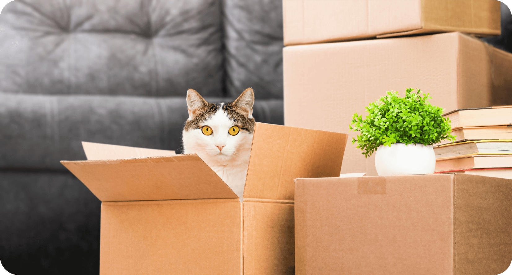 Скільки разів бердянці переїздили під час війни - опитування