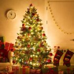 Чи планують бердянці ставити ялинку в цьому році - опитування Чи планують бердянці ставити ялинку в цьому році - опитування