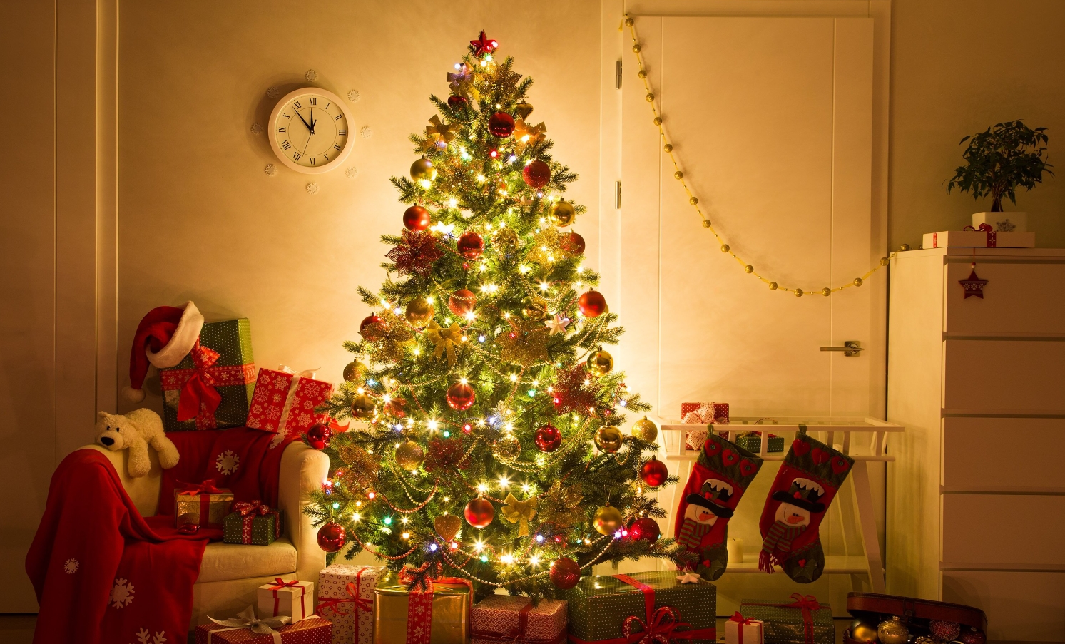 Чи планують бердянці ставити ялинку в цьому році - опитування Чи планують бердянці ставити ялинку в цьому році - опитування