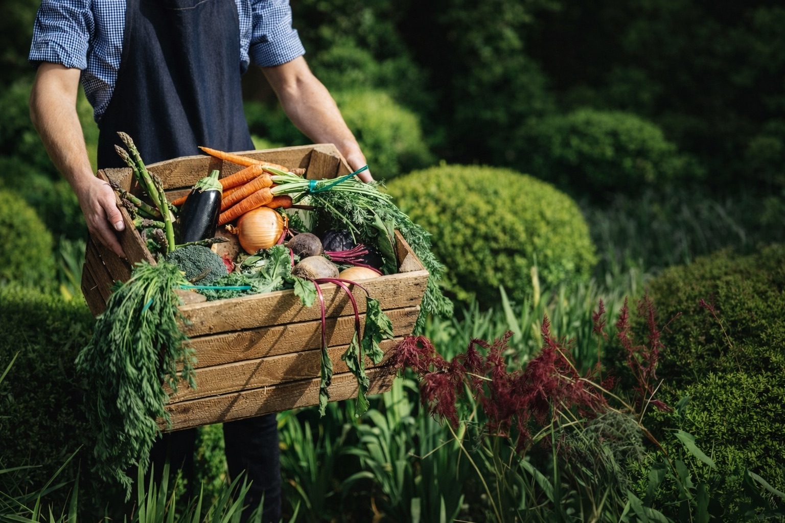 «Я буду садити овочі в своєму городі». Історія одного повернення в окупацію «Я буду садити овочі в своєму городі». Історія одного повернення в окупацію
