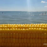 Запах моря, смажені бички та червнева черешня. Без яких традицій бердянці не уявляють початку літа