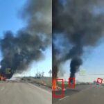 Бавовна на трасах Бердянщини (Фото: «Exilenova+») Бавовна на трасах Бердянщини (Фото: «Exilenova+»)